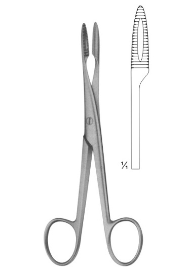 AMN-DM-2384